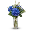 Bouquet of hydrangeas